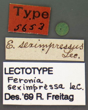 Media type: image;   Entomology 5653 Aspect: labels